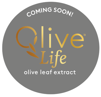 Olive Life new site image